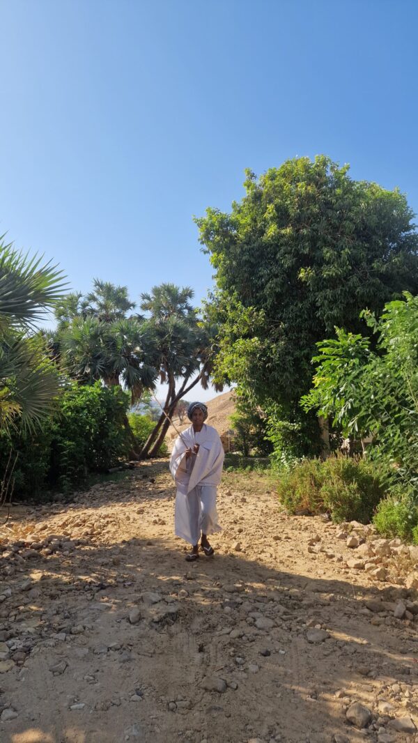 Mohamed
