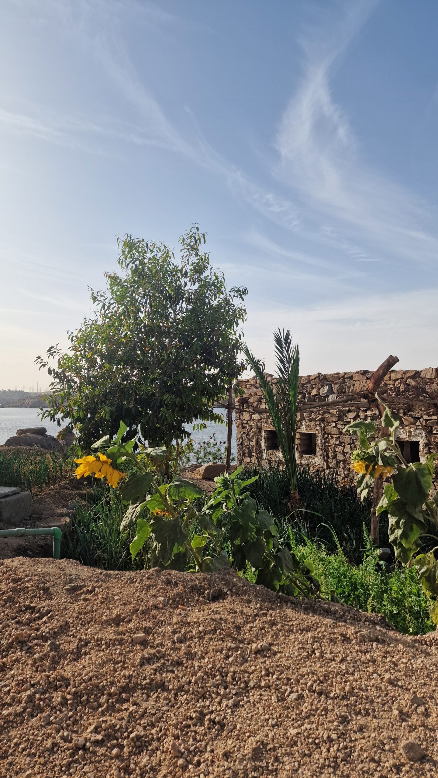 Insel des Osiris