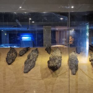 Krokodils Museum