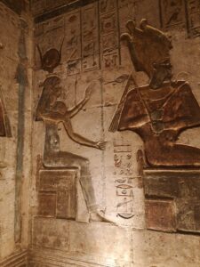 IMG_20211110_093530